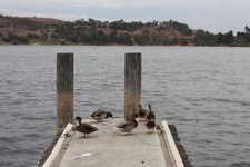 Enlarge photo 21