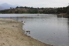 Enlarge photo 8