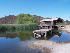 Enlarge photo 14