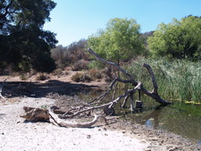 Enlarge photo 15