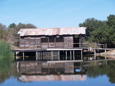 Enlarge photo 18