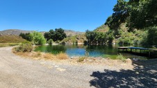 Enlarge photo 3