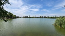 Enlarge photo 4