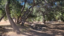 Sable Ranch