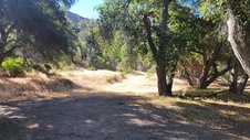Enlarge photo 8