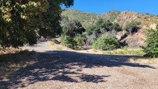 Enlarge photo 12