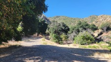Enlarge photo 14