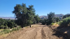 Enlarge photo 16