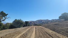Enlarge photo 18