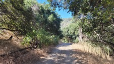Enlarge photo 24