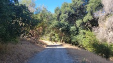 Enlarge photo 23