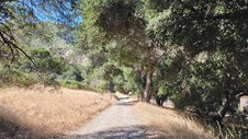 Enlarge photo 22