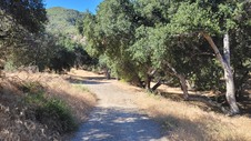 Enlarge photo 21