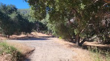 Enlarge photo 25