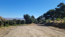 Enlarge photo 28