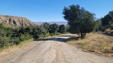 Enlarge photo 31