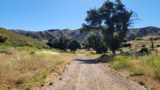 Enlarge photo 33
