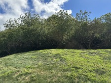 Enlarge photo 33