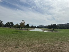 Enlarge photo 33