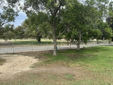 Enlarge photo 35
