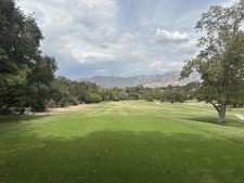 Enlarge photo 37