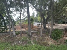 Enlarge photo 38