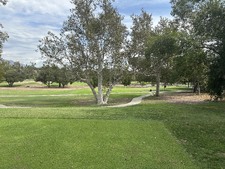 Enlarge photo 39