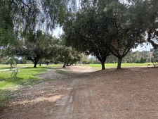 Enlarge photo 40