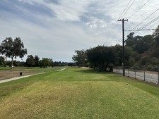 Enlarge photo 42