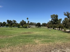 Enlarge photo 25
