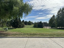Enlarge photo 35