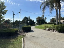 Enlarge photo 37