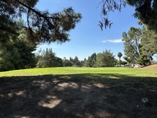 Enlarge photo 38