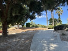 Enlarge photo 41