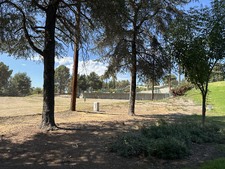 Enlarge photo 42