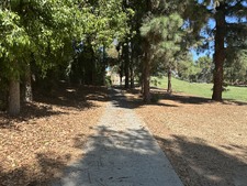 Enlarge photo 52