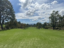 Enlarge photo 30