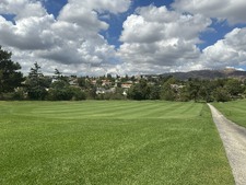 Enlarge photo 34