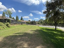 Enlarge photo 37