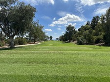 Enlarge photo 40