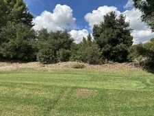 Enlarge photo 41