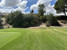 Enlarge photo 42