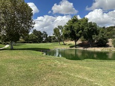 Enlarge photo 45