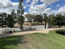 Enlarge photo 51