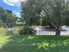 Enlarge photo 53