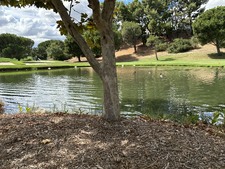 Enlarge photo 61