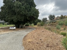 Enlarge photo 31