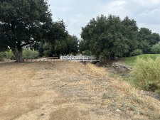 Enlarge photo 37