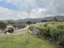 Enlarge photo 42