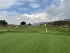Enlarge photo 46